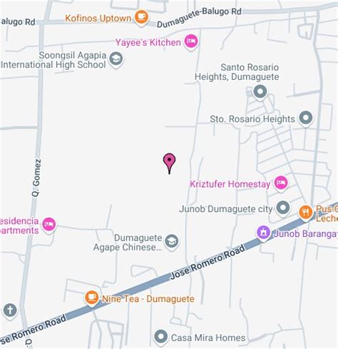 pao dumaguete|Google Maps.